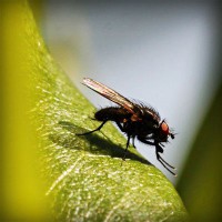 /album/eglencedunyasi/photolia-a04-jpg/