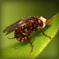 /album/eglencedunyasi/photolia-a06-jpg/