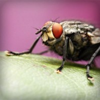 /album/eglencedunyasi/photolia-a08-jpg/
